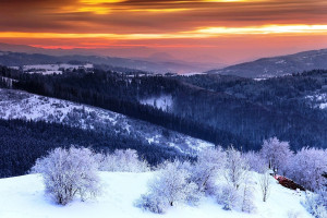 信仰之战!和平精英国际冠军杯,为热爱而战的每一支队伍