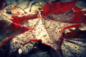 AI电竞互动系统,让你的每一次点击都更有意义 AI电竞互动系统,让你的每一次点击都更有意义